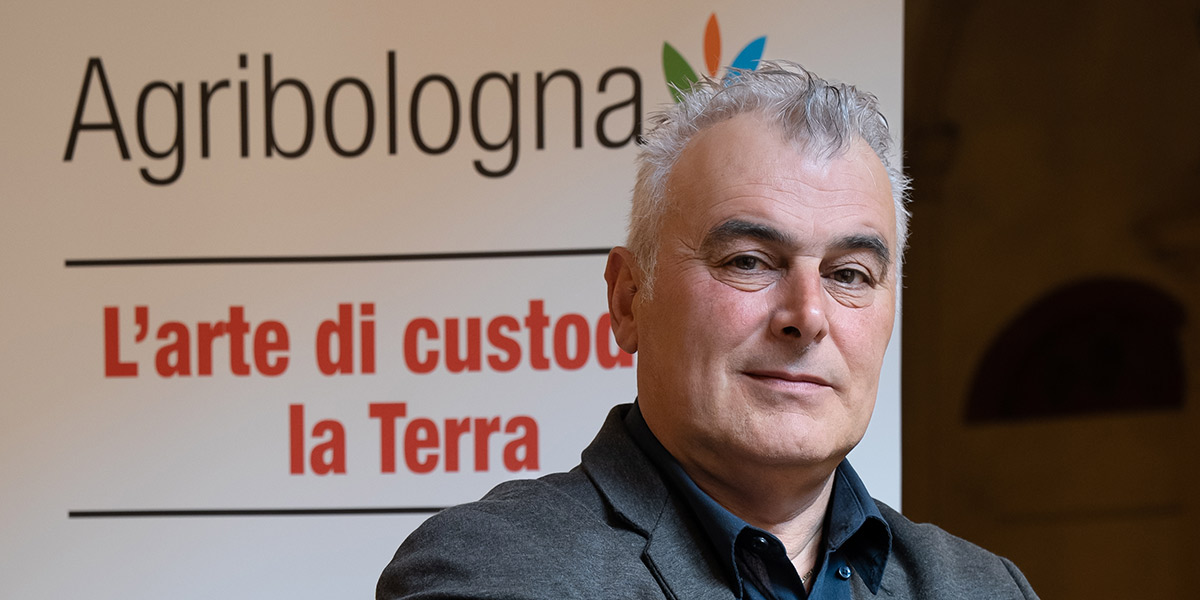 Campagna pesche e nettarine, in Romagna il bilancio è positivo ma senza exploit